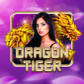 Dragon Tiger Live Casino